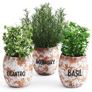 greenery plants set 3D model