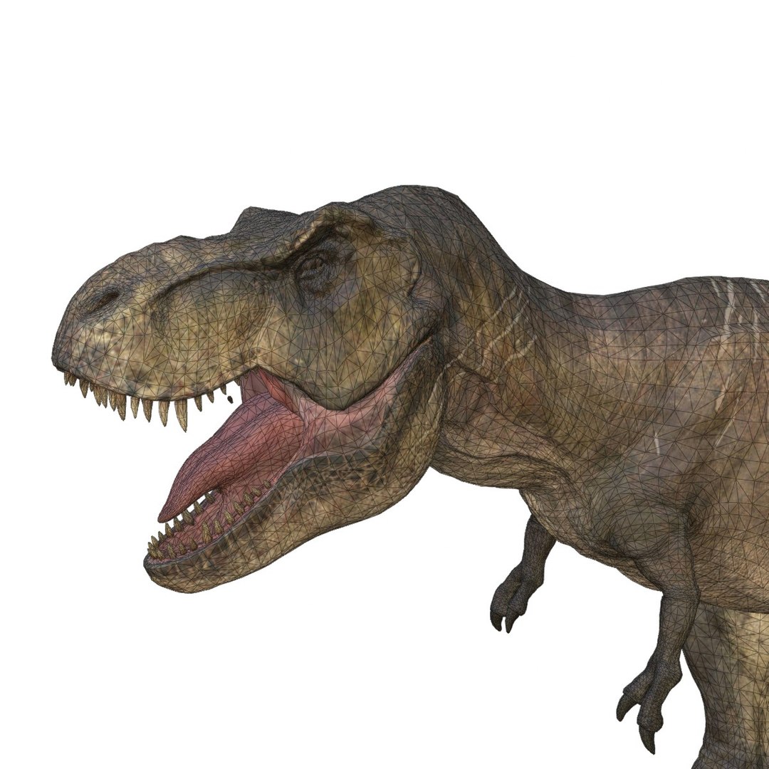 3D Tyrannosaurus Rex Rigged Animated 3D Model - TurboSquid 2550258