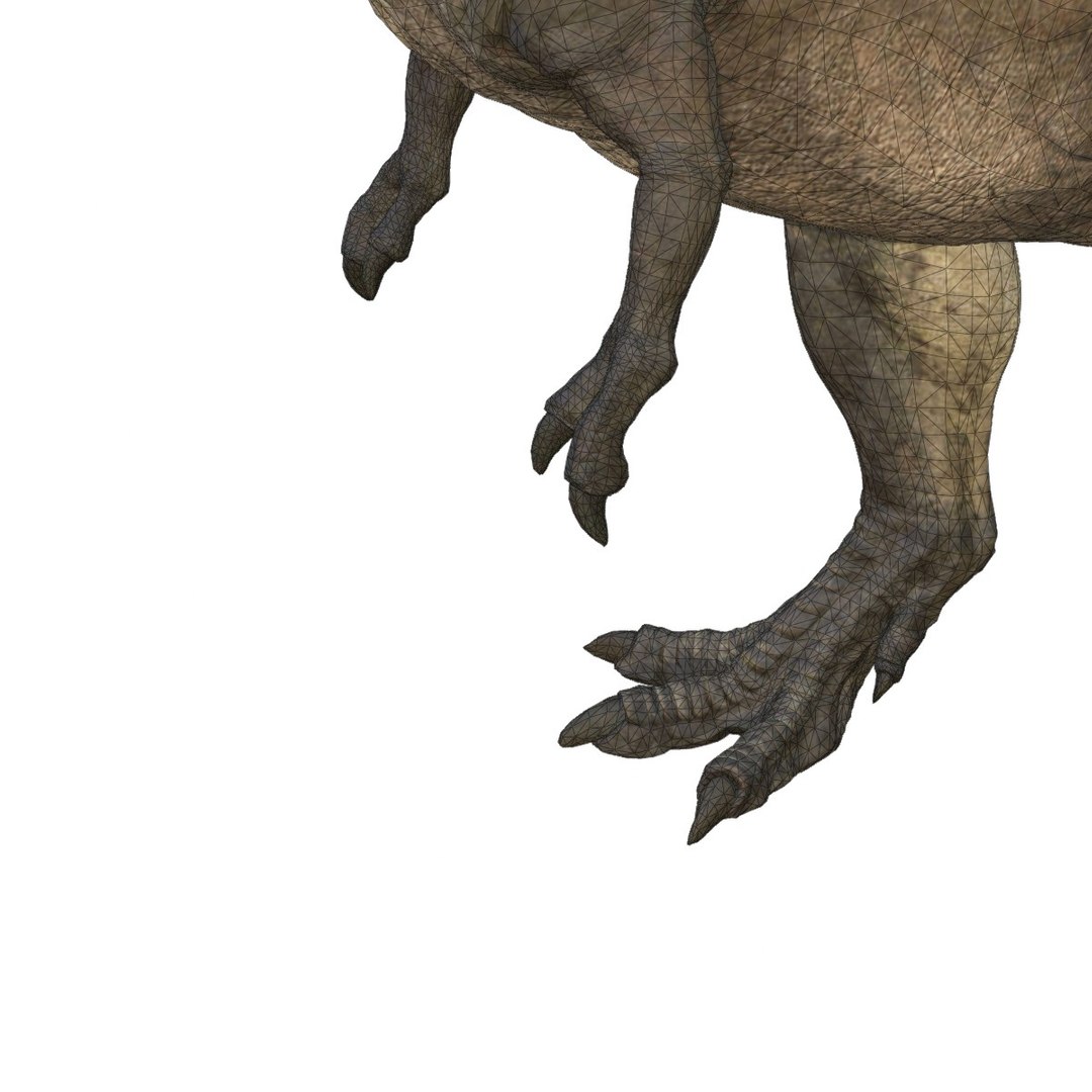 3D Tyrannosaurus Rex Rigged Animated 3D Model - TurboSquid 2550258