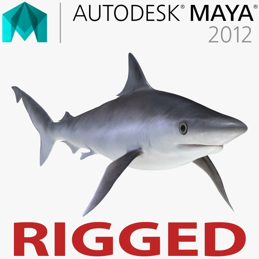 Milk Shark Rigged for Maya 3D Model 3D model preview