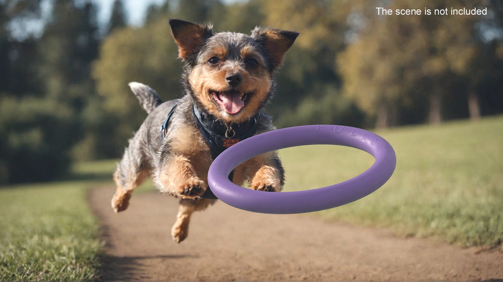 Dog Toy Puller Micro Package 3D model https://p.turbosquid.com/ts-thumb/e6/7rjKHY/xa/dogtoypullermicropackage3dsmodel003/jpg/1725529953/1920x1080/fit_q87/6ec9bbf9e158ef55c593aef8ccae047ed19e0101/dogtoypullermicropackage3dsmodel003.jpg