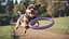 Dog Toy Puller Micro Package