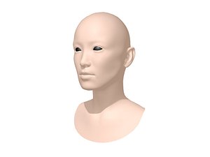human head model