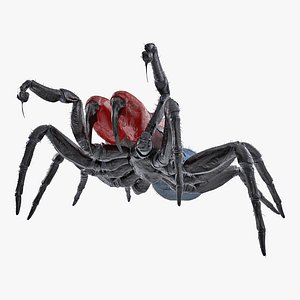 Mouse Spider Fighting Pose with Fur 3D Model