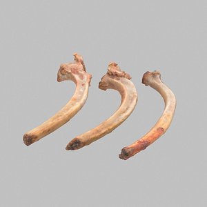 Lamb Bones
