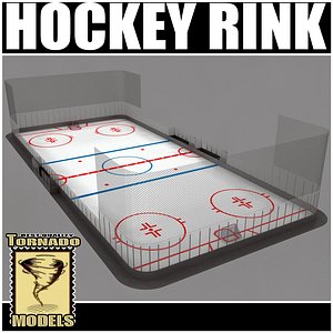 ice hockey rink max