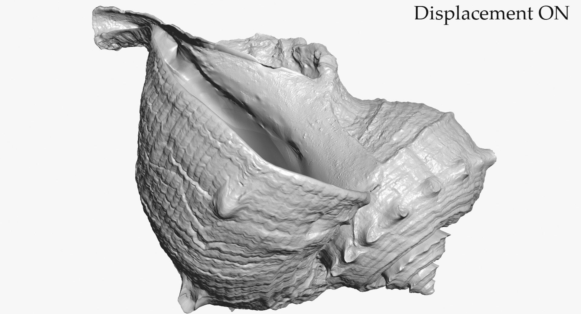 3D seashell rapana 2 model https://p.turbosquid.com/ts-thumb/e6/bPdOXu/110i01nd/3_seashell24rapana2_camera008_displaceon_001/jpg/1503002841/1920x1080/fit_q87/d7068faae86da885ed9177c233e6394609268efd/3_seashell24rapana2_camera008_displaceon_001.jpg