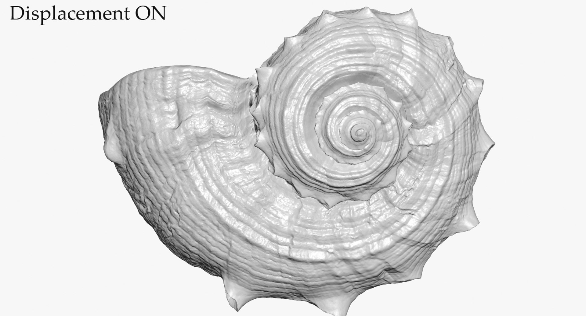 3D seashell rapana 2 model https://p.turbosquid.com/ts-thumb/e6/bPdOXu/1YcQ7m4U/3_seashell24rapana2_camera007_displaceon_001/jpg/1503002841/1920x1080/fit_q87/7f8c63050b666a38232b5cc4940e80680634800d/3_seashell24rapana2_camera007_displaceon_001.jpg