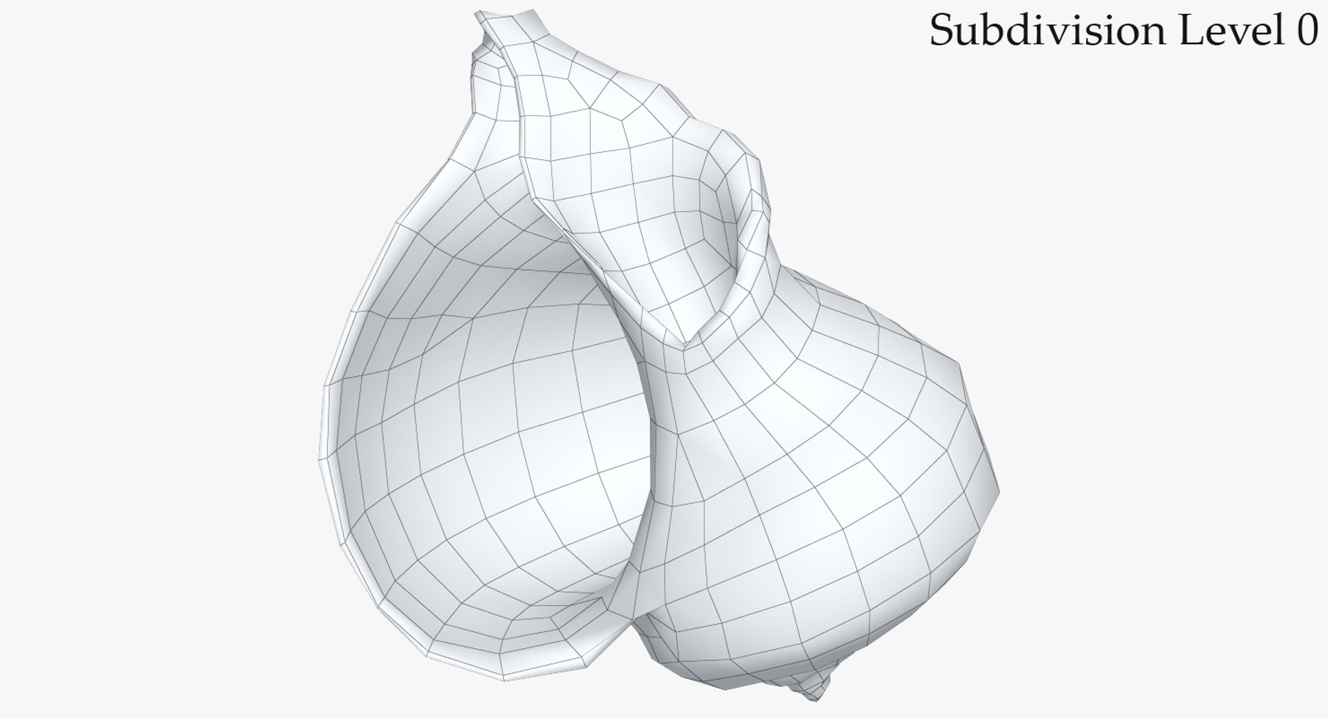 3D seashell rapana 2 model https://p.turbosquid.com/ts-thumb/e6/bPdOXu/3SKgWoau/2_wire_seashell24rapana2_camera002_sds0_001/jpg/1503002840/1920x1080/fit_q87/10dc25f8537207b383b47f18f697ac3f26ca2935/2_wire_seashell24rapana2_camera002_sds0_001.jpg