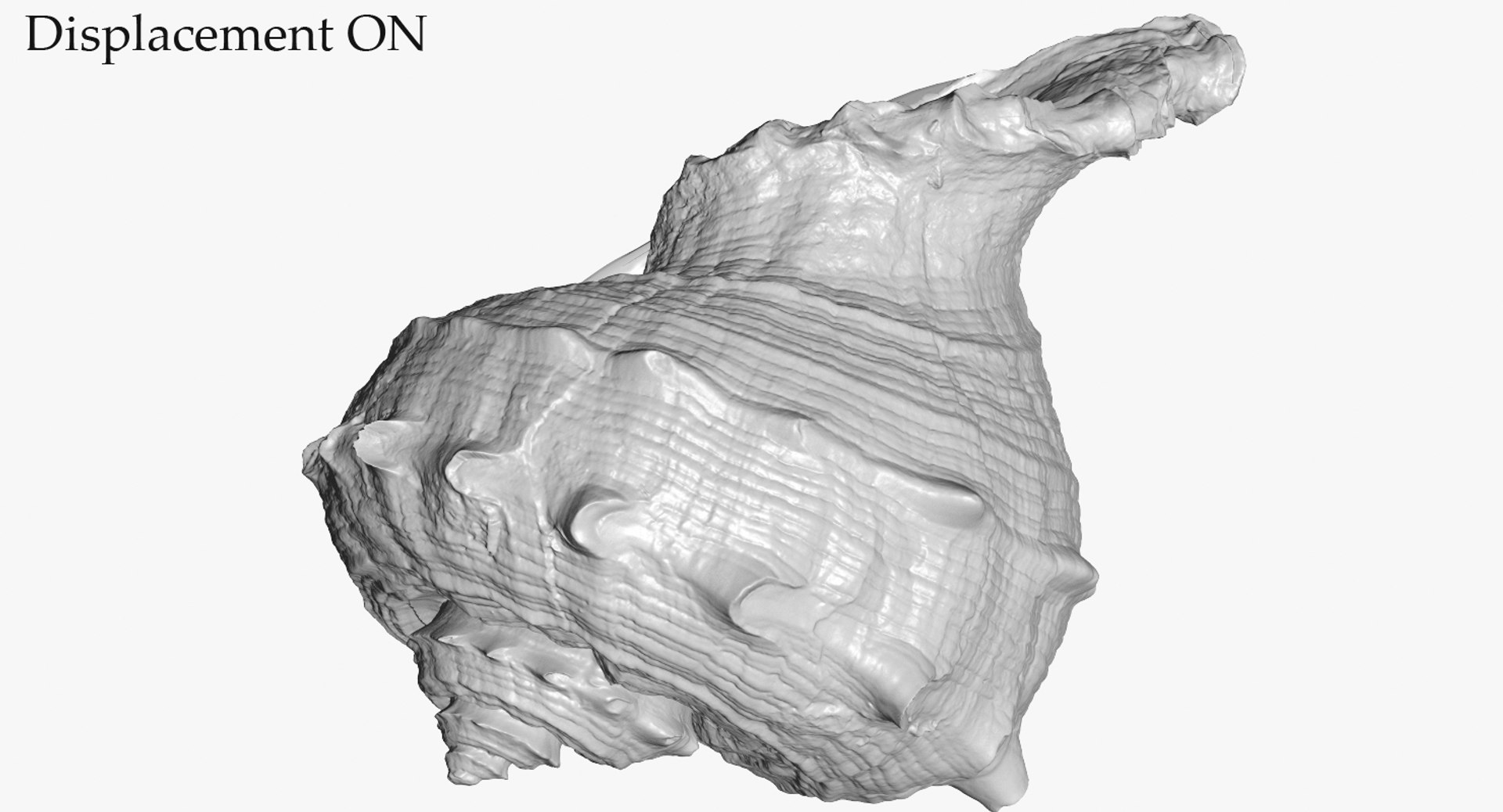 3D seashell rapana 2 model https://p.turbosquid.com/ts-thumb/e6/bPdOXu/50agp837/3_seashell24rapana2_camera004_displaceon_001/jpg/1503002841/1920x1080/fit_q87/327b3f1bf552b77e00226b669250fdbcfae90ee1/3_seashell24rapana2_camera004_displaceon_001.jpg