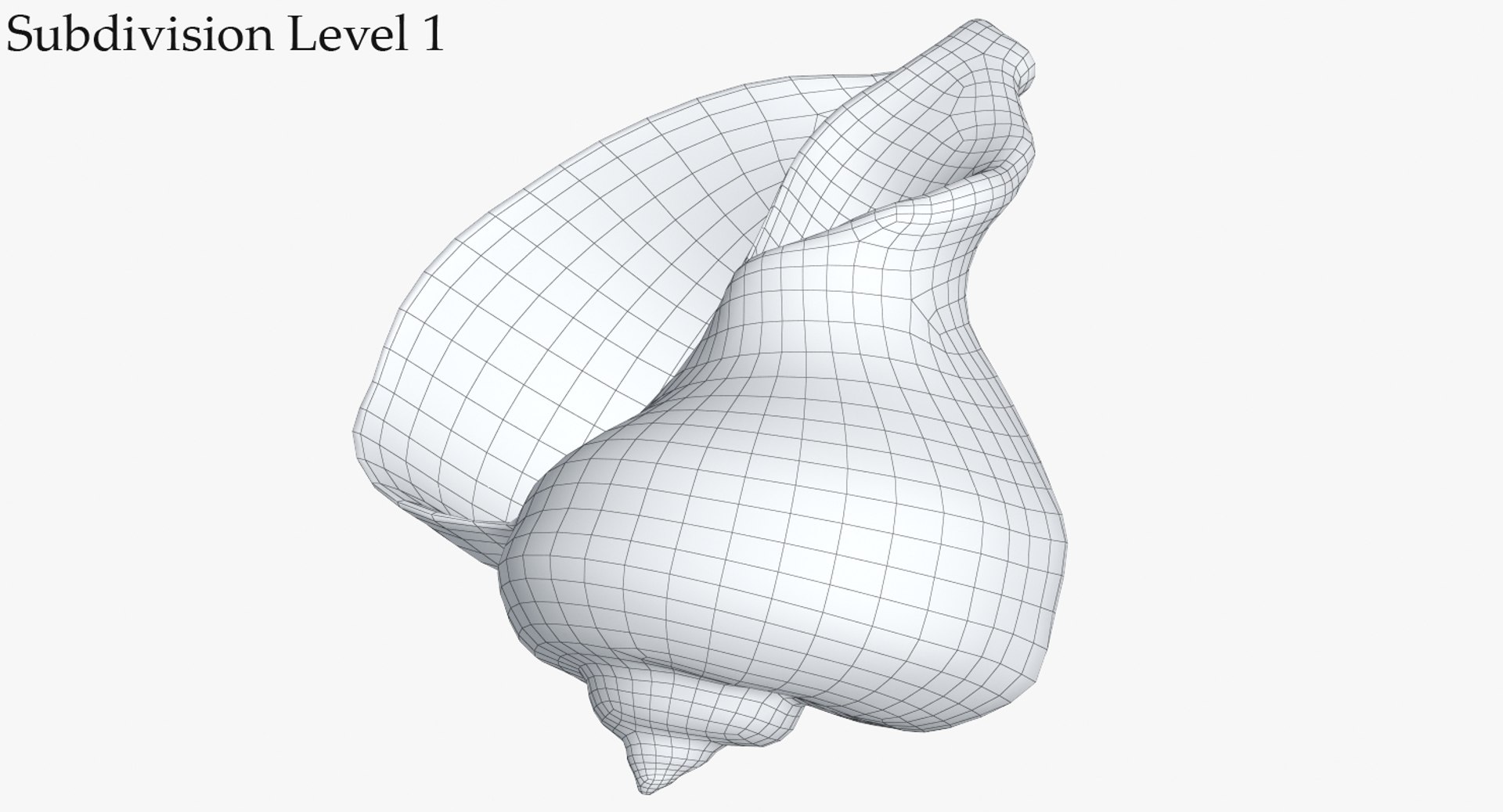 3D seashell rapana 2 model https://p.turbosquid.com/ts-thumb/e6/bPdOXu/79FvRbdU/2_wire_seashell24rapana2_camera003_sds1_001/jpg/1503002840/1920x1080/fit_q87/5121de00687bbe4ed19305506268e554b9326c17/2_wire_seashell24rapana2_camera003_sds1_001.jpg