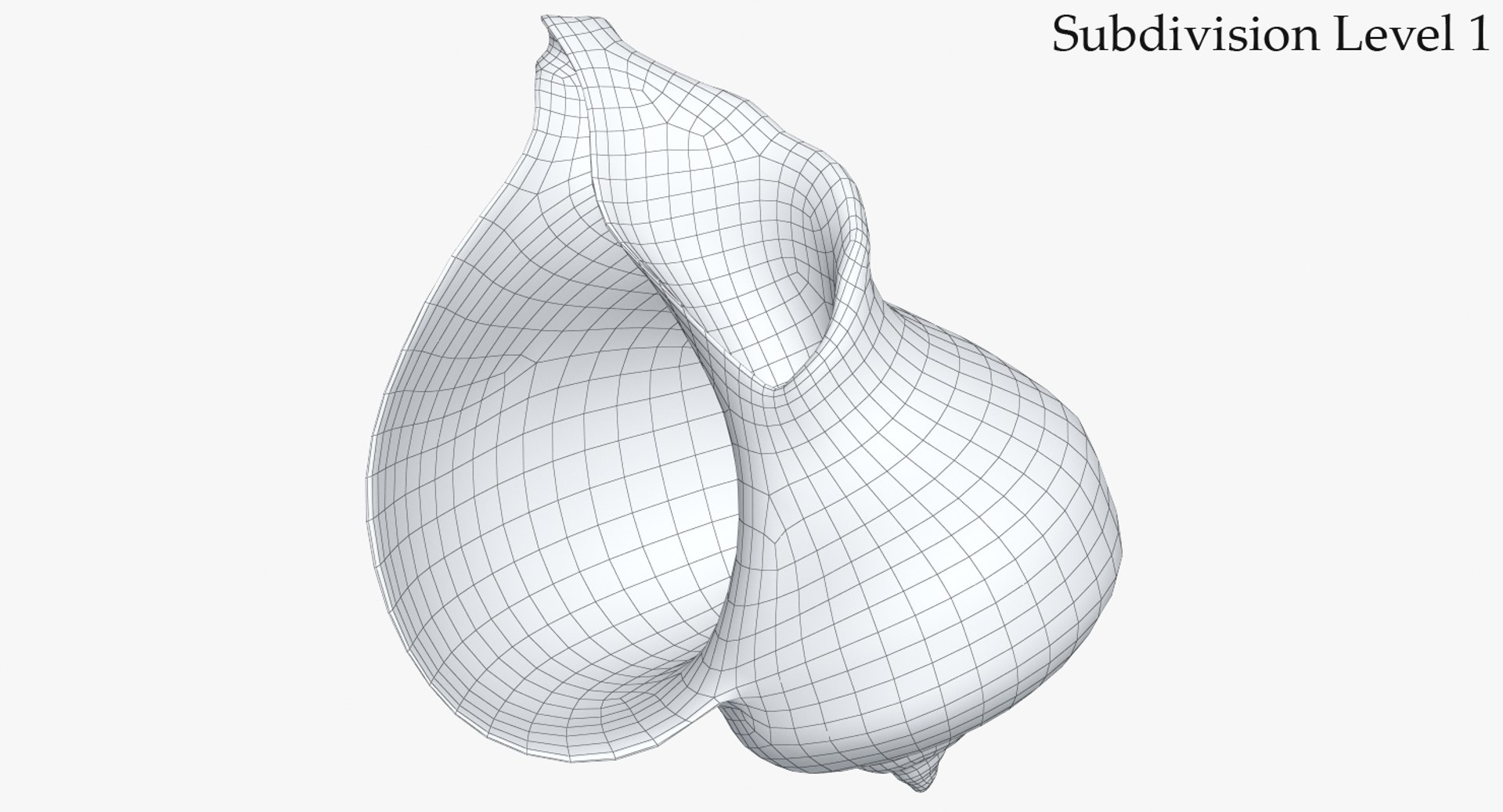 3D seashell rapana 2 model https://p.turbosquid.com/ts-thumb/e6/bPdOXu/7ABTXfQj/2_wire_seashell24rapana2_camera002_sds1_001/jpg/1503002840/1920x1080/fit_q87/278cf8daea2559b3d766f2c9502565812aaff3dc/2_wire_seashell24rapana2_camera002_sds1_001.jpg