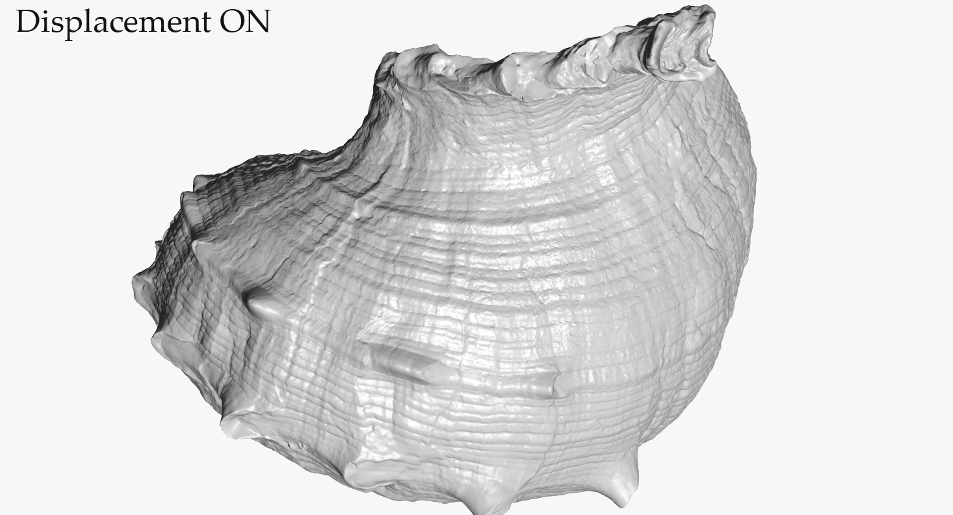 3D seashell rapana 2 model https://p.turbosquid.com/ts-thumb/e6/bPdOXu/YUKgQL0F/3_seashell24rapana2_camera005_displaceon_001/jpg/1503002841/1920x1080/fit_q87/8b4ea92405612c978cd525e72a8a96e7c4616150/3_seashell24rapana2_camera005_displaceon_001.jpg