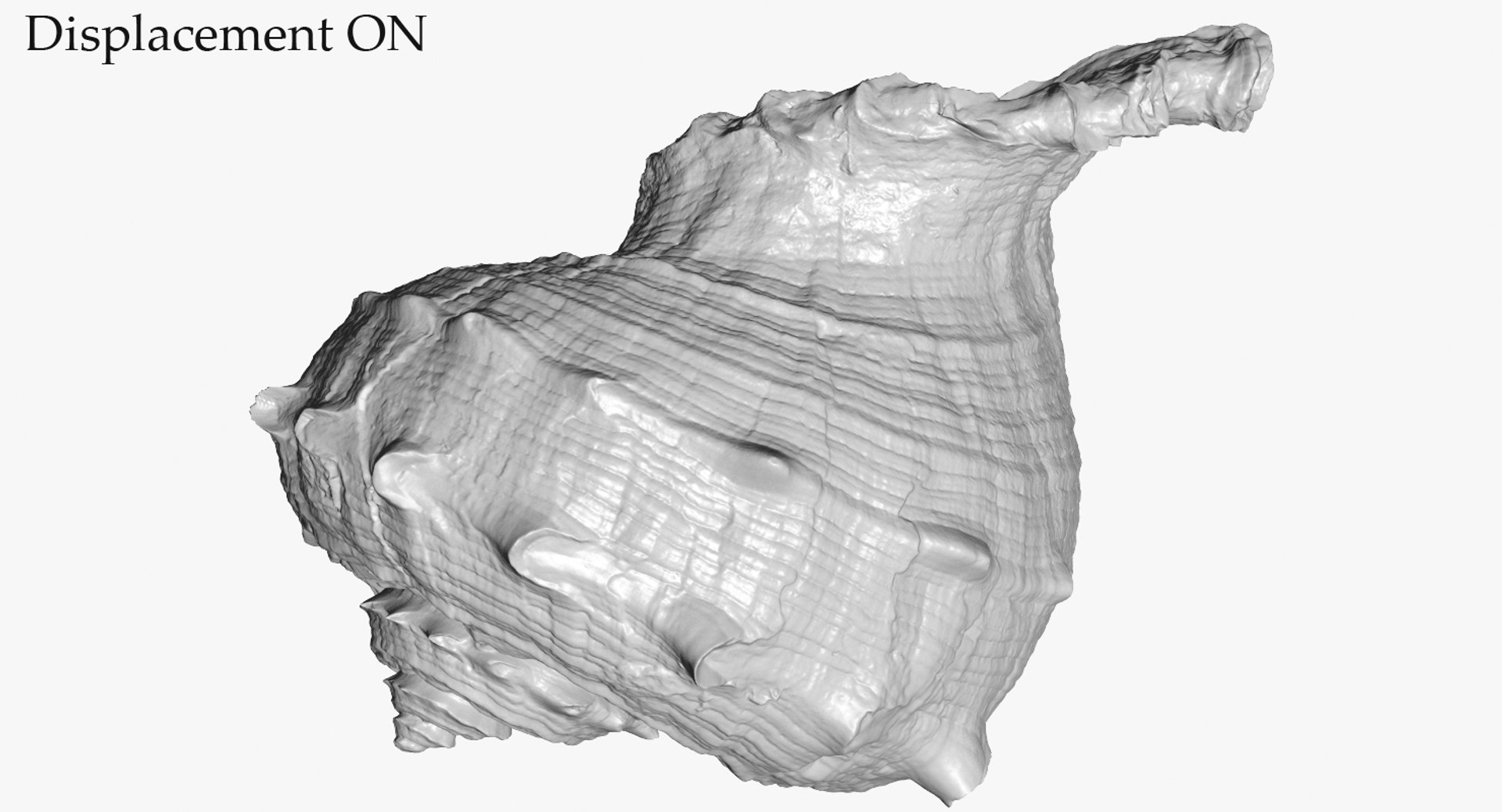 3D seashell rapana 2 model https://p.turbosquid.com/ts-thumb/e6/bPdOXu/oMfVGnKX/3_seashell24rapana2_camera009_displaceon_001/jpg/1503002841/1920x1080/fit_q87/e562fc6dc25c1c0cab55b8e14319d6d99f4adf1e/3_seashell24rapana2_camera009_displaceon_001.jpg