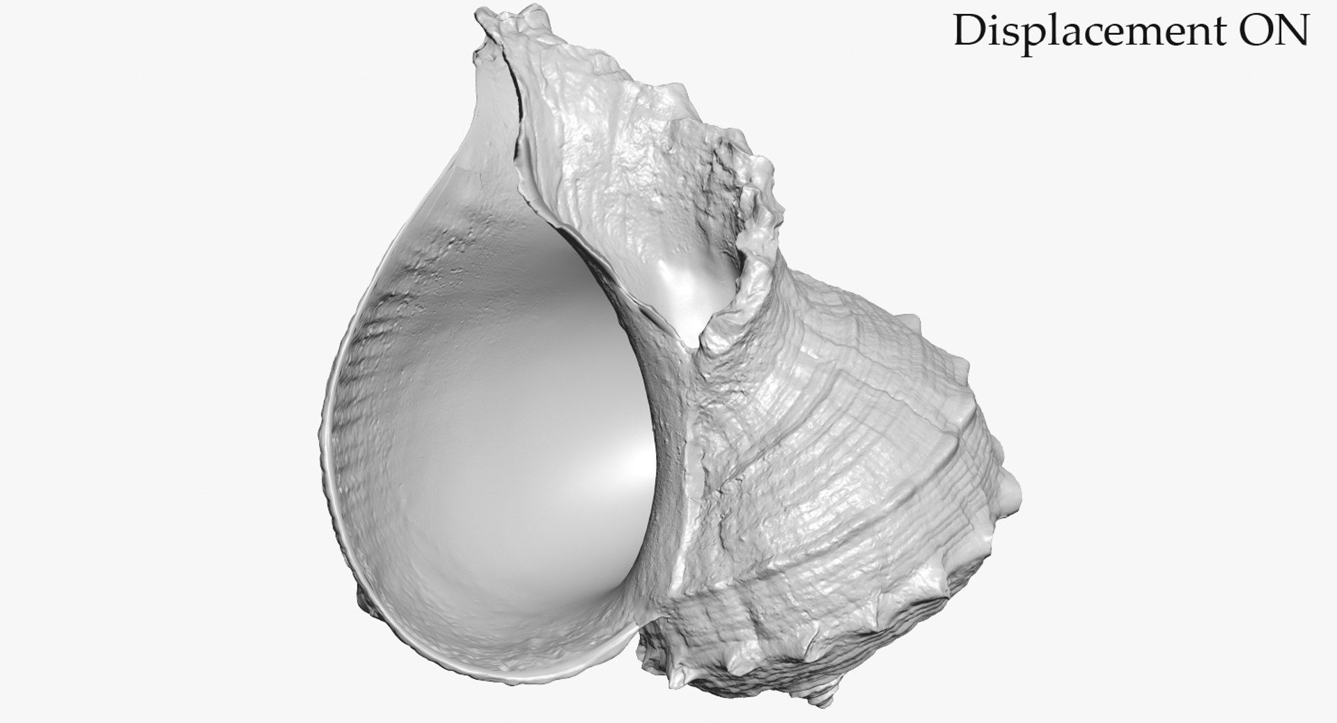 3D seashell rapana 2 model https://p.turbosquid.com/ts-thumb/e6/bPdOXu/p2J953C1/3_seashell24rapana2_camera002_displaceon_001/jpg/1503002840/1920x1080/fit_q87/604e98dd46b9c47b3f6222f1143a0bb5f4b04d7a/3_seashell24rapana2_camera002_displaceon_001.jpg