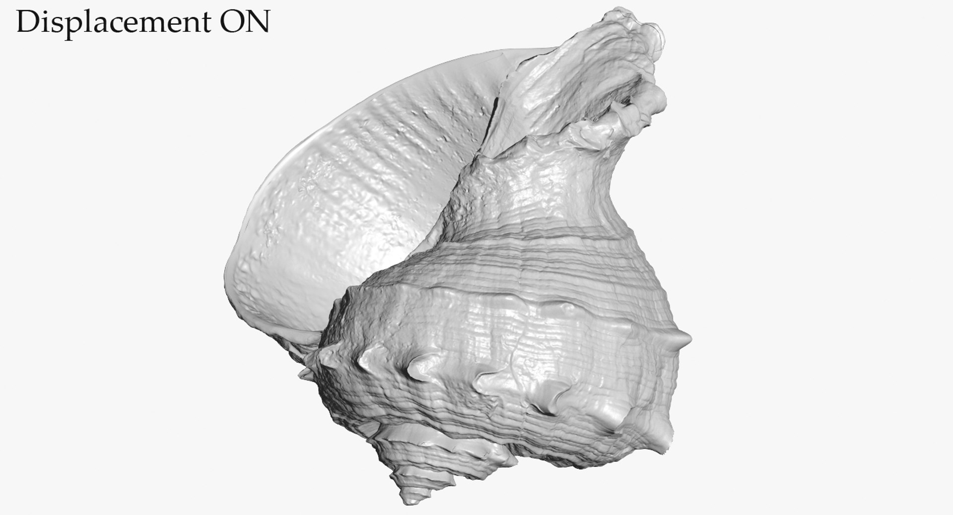3D seashell rapana 2 model https://p.turbosquid.com/ts-thumb/e6/bPdOXu/zigY1267/3_seashell24rapana2_camera003_displaceon_001/jpg/1503002840/1920x1080/fit_q87/fd4f51c0378b02b23f9912e0da5e82c376e7e9b4/3_seashell24rapana2_camera003_displaceon_001.jpg