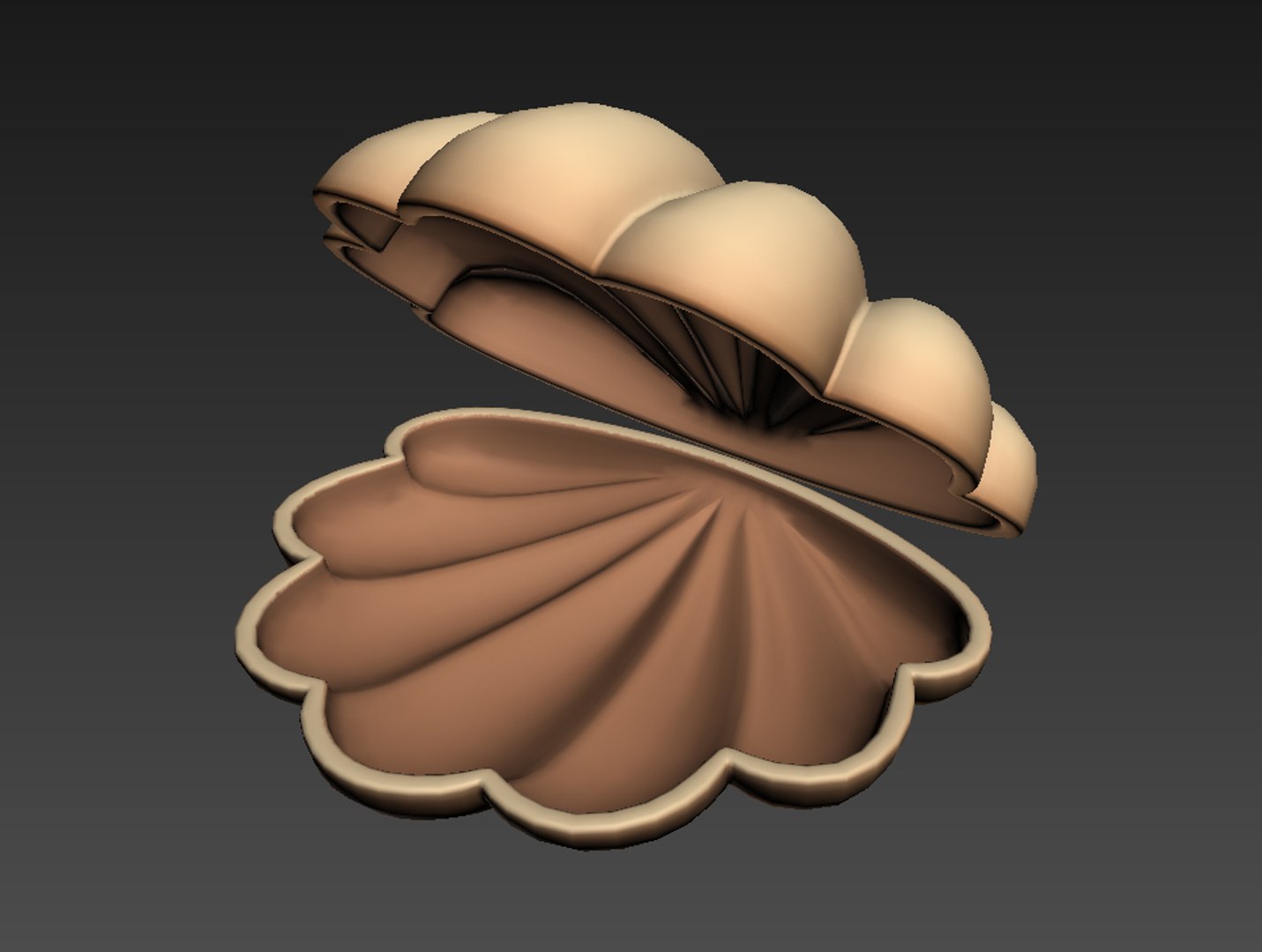 Shell Cartoon 3D - TurboSquid 1456171