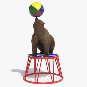 Circus Bear Balancing Trick Brown Fur 3D model