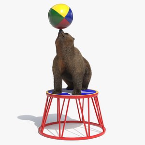 Circus Bear Balancing Trick Brown Fur