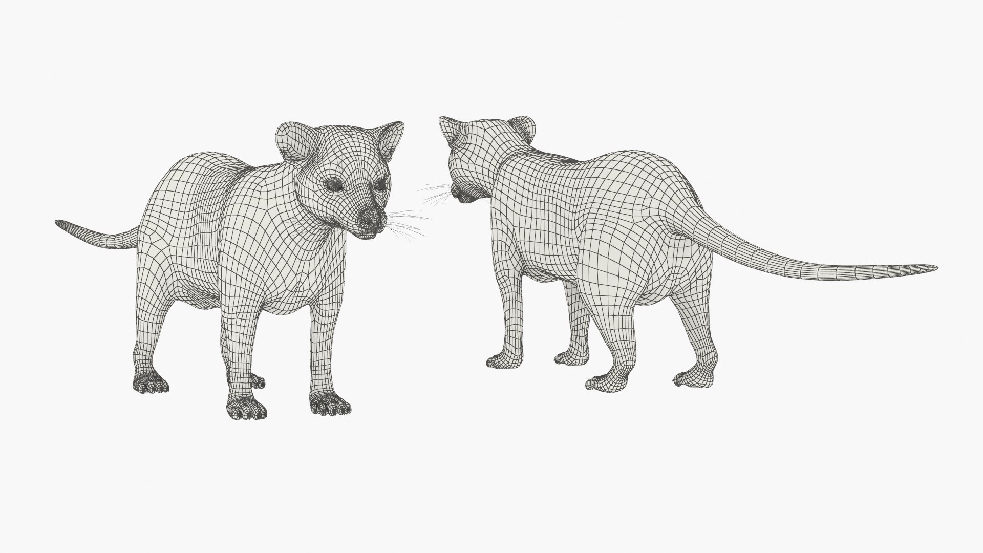 Asian Palm Civet for Kopi Luwak Gray Coat 3D model https://p.turbosquid.com/ts-thumb/e7/5BjsbV/fv/asian_palm_civet_for_kopi_luwak_gray_coat_011/jpg/1758693087/1920x1080/fit_q87/770969255e1616c1407a40fbfa829a0f59aab219/asian_palm_civet_for_kopi_luwak_gray_coat_011.jpg
