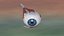 Human eye anatomy