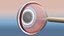 Human eye anatomy