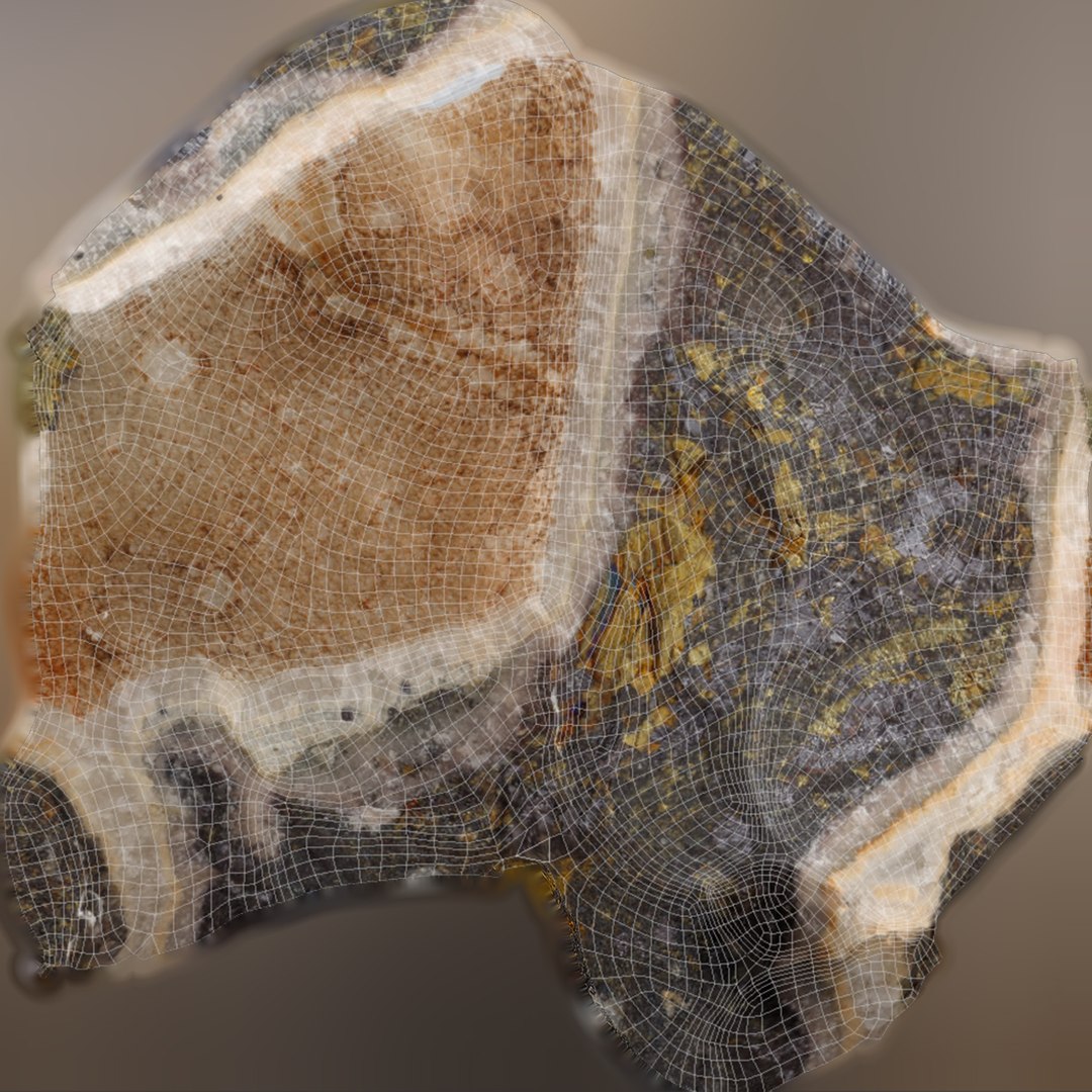 Veins of pyrite  gemstone 3D model https://p.turbosquid.com/ts-thumb/e7/K9ri5M/Oz/suw/jpg/1673291861/1920x1080/fit_q87/d768e5e916953cbcd811ad47e1026f193f130013/suw.jpg