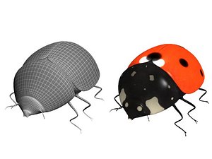 ladybird 3d 3ds