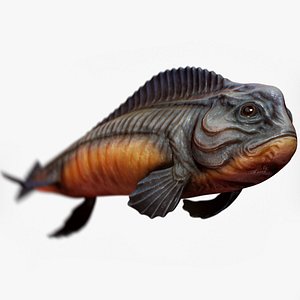 3D Fantasy Fish 01 - Aqua Life - Underwater Creature - 26