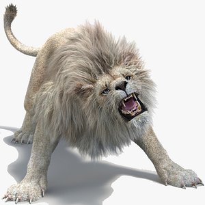 3D model white lion 2 fur