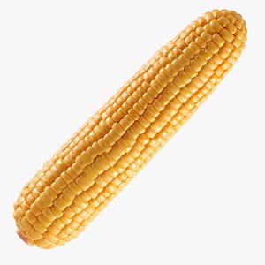 Corn