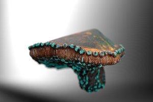 Growing Glowing Alien Fungi 3D model