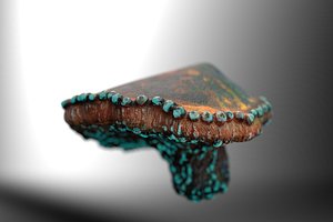 Growing Glowing Alien Fungi