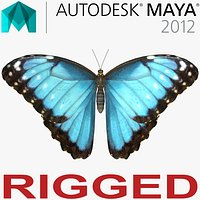 Morpho Peleides Butterfly Rigged for Maya