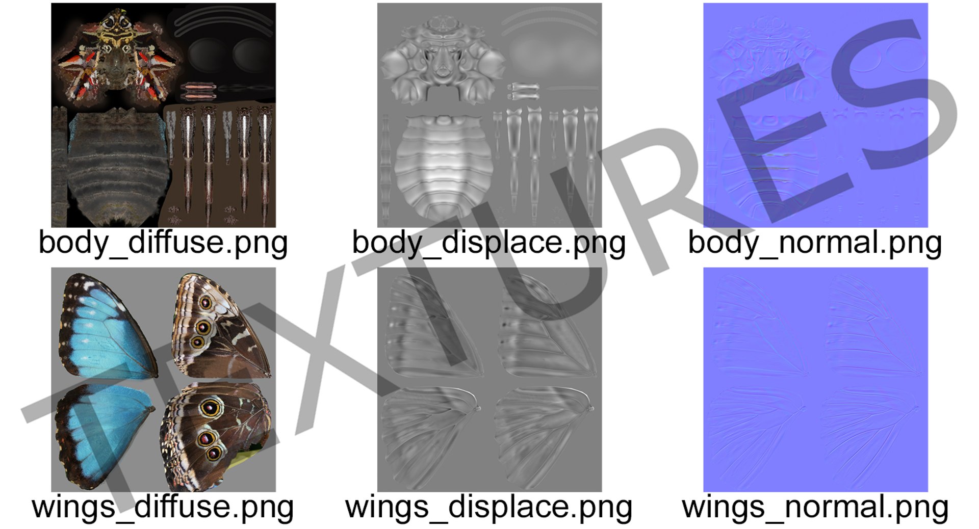 morpho peleides butterfly rigged 3D model https://p.turbosquid.com/ts-thumb/e7/dXtQkl/J3eXWqgt/morphopeleidesbutterflyriggedmayamb3dmodel23/jpg/1498194178/1920x1080/fit_q87/0c1ded23b420165c25c63392abf64b15ac45cc09/morphopeleidesbutterflyriggedmayamb3dmodel23.jpg