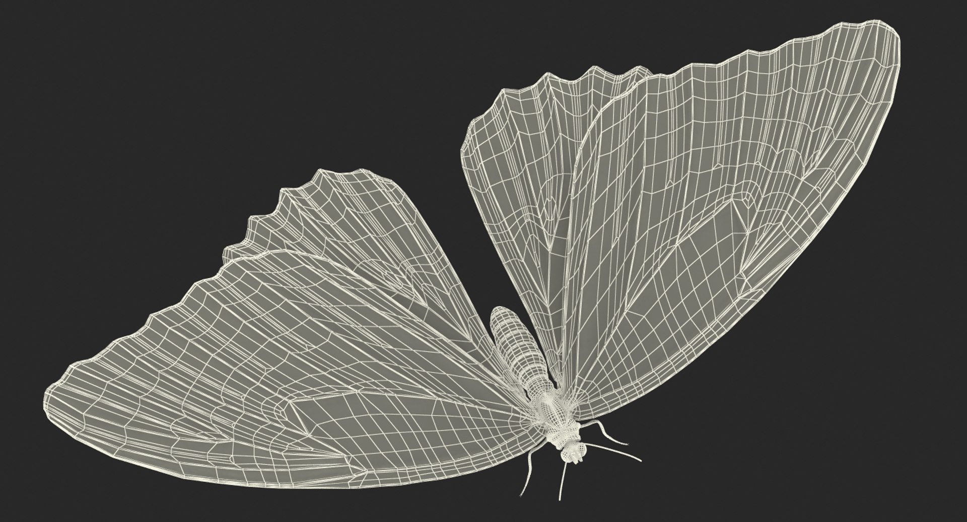 morpho peleides butterfly rigged 3D model https://p.turbosquid.com/ts-thumb/e7/dXtQkl/dlWHeZqw/morphopeleidesbutterflyriggedmayamb3dmodel31/jpg/1498194179/1920x1080/fit_q87/f55c236722a7c30bab21a9d52231b7a8e59af040/morphopeleidesbutterflyriggedmayamb3dmodel31.jpg