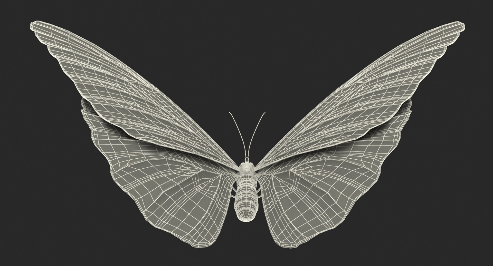 morpho peleides butterfly rigged 3D model https://p.turbosquid.com/ts-thumb/e7/dXtQkl/h38TGjYZ/morphopeleidesbutterflyriggedmayamb3dmodel30/jpg/1498194179/1920x1080/fit_q87/724c501d8e2741cf1158c7020bc3c89deca2358b/morphopeleidesbutterflyriggedmayamb3dmodel30.jpg