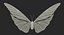 Borboleta de Peleides Morpho para Maya