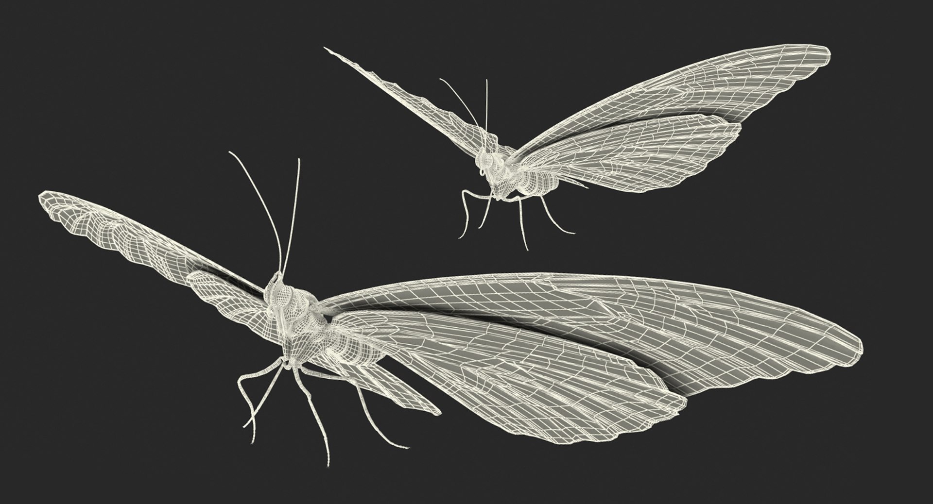 morpho peleides butterfly rigged 3D model https://p.turbosquid.com/ts-thumb/e7/dXtQkl/kDCtGGFA/morphopeleidesbutterflyriggedmayamb3dmodel25/jpg/1498194178/1920x1080/fit_q87/c0e486e729cfa3415af84cd2ee4819e158f6a7c4/morphopeleidesbutterflyriggedmayamb3dmodel25.jpg