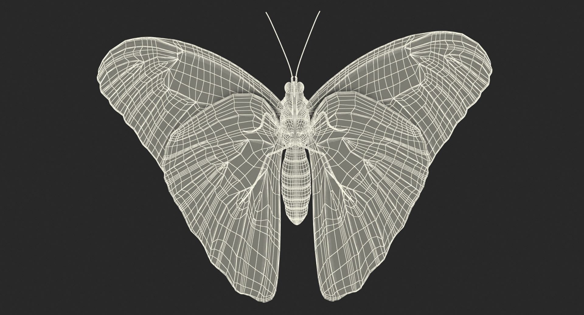 morpho peleides butterfly rigged 3D model https://p.turbosquid.com/ts-thumb/e7/dXtQkl/kyYe1Qck/morphopeleidesbutterflyriggedmayamb3dmodel27/jpg/1498194178/1920x1080/fit_q87/896e178ab77231080c66a2ab88662b04a10392f6/morphopeleidesbutterflyriggedmayamb3dmodel27.jpg
