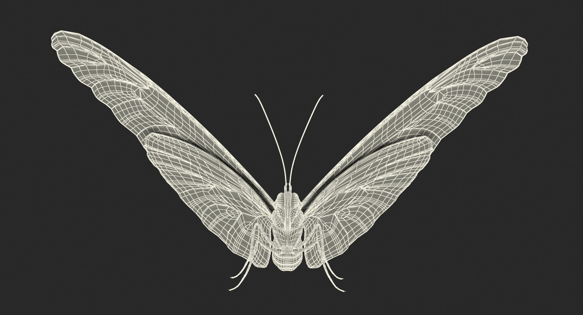 morpho peleides butterfly rigged 3D model https://p.turbosquid.com/ts-thumb/e7/dXtQkl/oaxlHiZr/morphopeleidesbutterflyriggedmayamb3dmodel28/jpg/1498194178/1920x1080/fit_q87/708f4d7864ba504a9f1621a116d040cc1d65f356/morphopeleidesbutterflyriggedmayamb3dmodel28.jpg