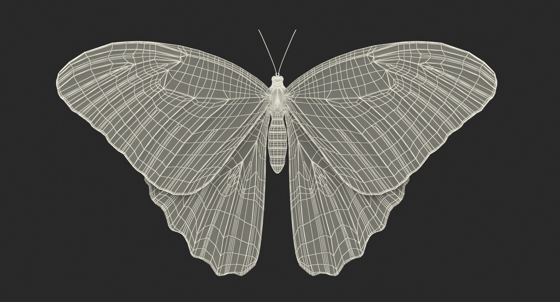 morpho peleides butterfly rigged 3D model https://p.turbosquid.com/ts-thumb/e7/dXtQkl/wHK8ycoU/morphopeleidesbutterflyriggedmayamb3dmodel26/jpg/1498194178/1920x1080/fit_q87/7d77a06a7183e489b97470778f0cc9bfff0472ac/morphopeleidesbutterflyriggedmayamb3dmodel26.jpg