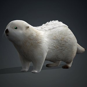 Otter-A1