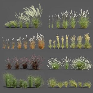 3D plants pack 3: ornamental