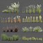 3D植物包装3:观赏性