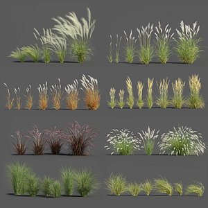 Plants Pack 3: Ornamental Grasses (+GrowFX)