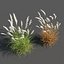 3D plants pack 3: ornamental