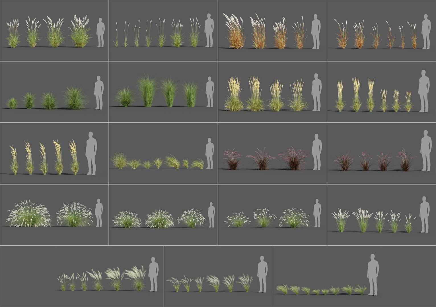 3D plants pack 3: ornamental https://p.turbosquid.com/ts-thumb/e7/mWFlMG/qaaL4Y8I/ornamental_grasses1b/jpg/1585072599/1920x1080/fit_q87/4a16cd0f06f277dff2a9731eacb4dd9a9bc48721/ornamental_grasses1b.jpg