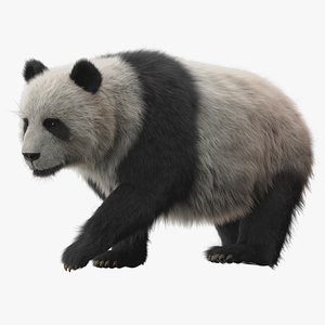panda rigged 3D model