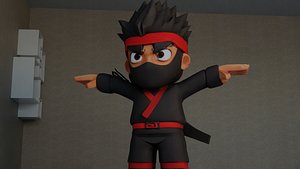 3D model NINJA -001-